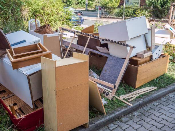 Best Electronics Removal Services  in Rice Lake, MN